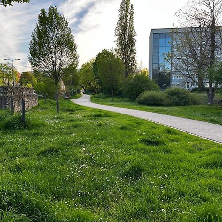 Speyerbach - Modernes Apartment Nahe Neustadter Innenstadt Нойштадт-ан-дер-Вайнштрасе Екстер'єр фото